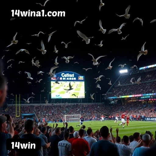 Tabela RTP dos jogos de cassino da 14win